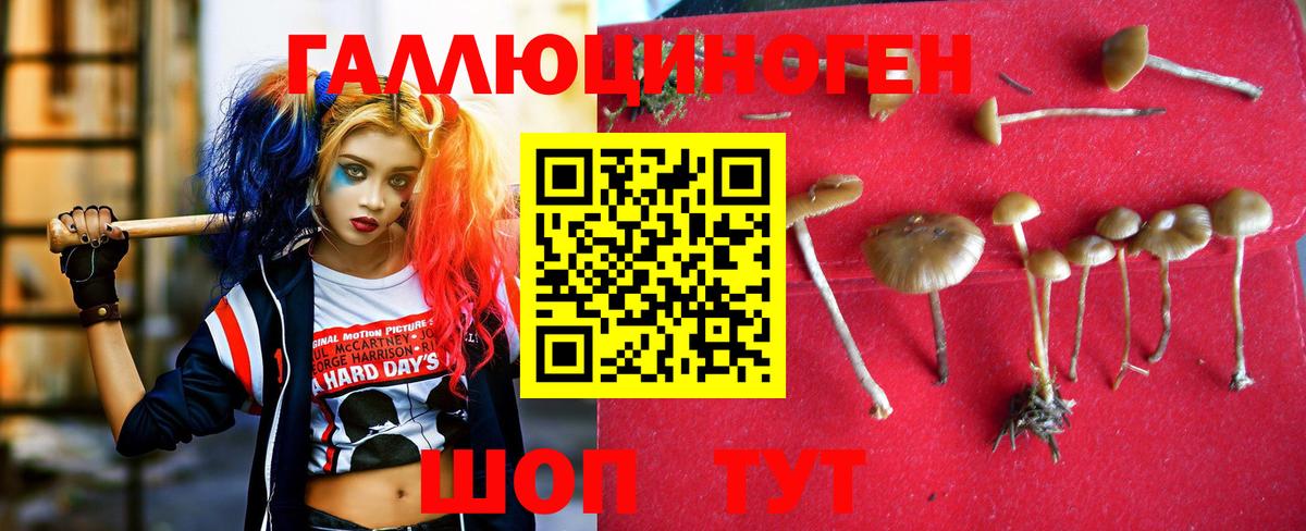Псилоцибиновые грибы Magic Shrooms  Вход с VPN  Галлюциногенные грибы Cubensis  Кропоткин 
